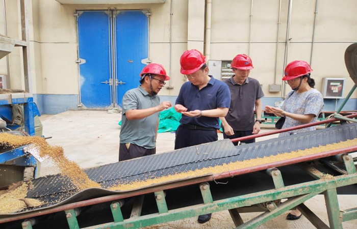 局黨組書記、局長(zhǎng)蔣超督導(dǎo)省儲(chǔ)小麥?zhǔn)召?gòu)和糧食倉(cāng)儲(chǔ)項(xiàng)目建設(shè)工作