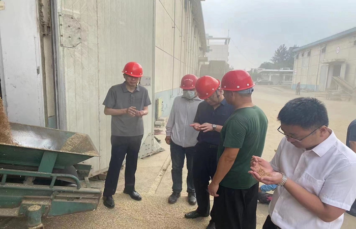 局黨組書記、局長(zhǎng)蔣超督導(dǎo)省市級(jí)儲(chǔ)備糧收購(gòu)、項(xiàng)目建設(shè)工作