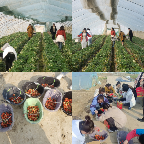 集團(tuán)工會組織開展“赴春天之約，綻巾幗 芳華”三八婦女節(jié)活動