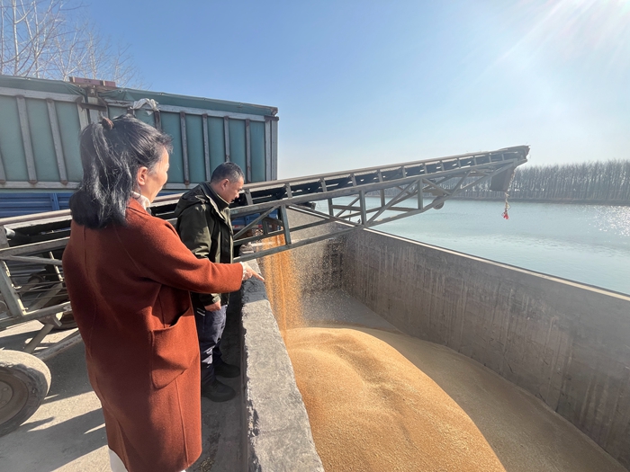 “黨建領(lǐng)航，守護(hù)糧安”淮糧集團(tuán)開展特色品牌黨建活動