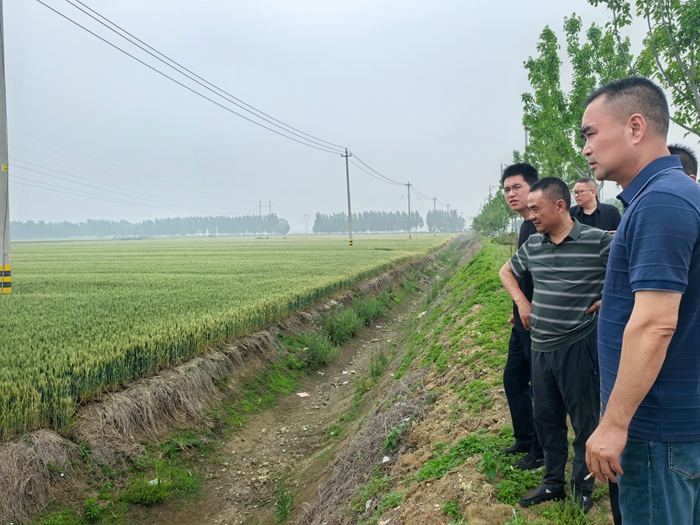 淮糧實業(yè)公司開展小麥市場調(diào)研